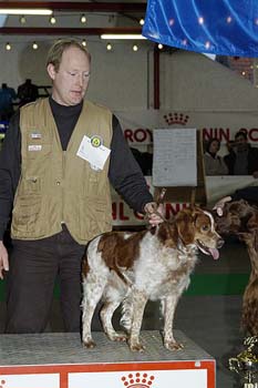 gal/Expo janvier 2005/DSC_4410.jpg